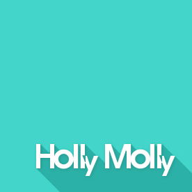holly-molly_net Logo