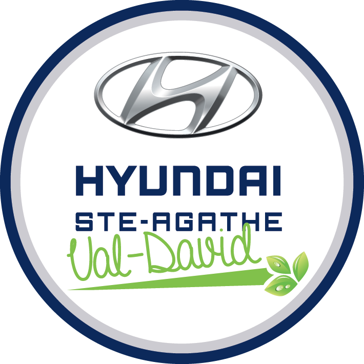 hyundaivaldavid Logo
