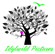 Idylwild Pictures Logo