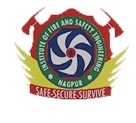 IFSE INDIA Logo