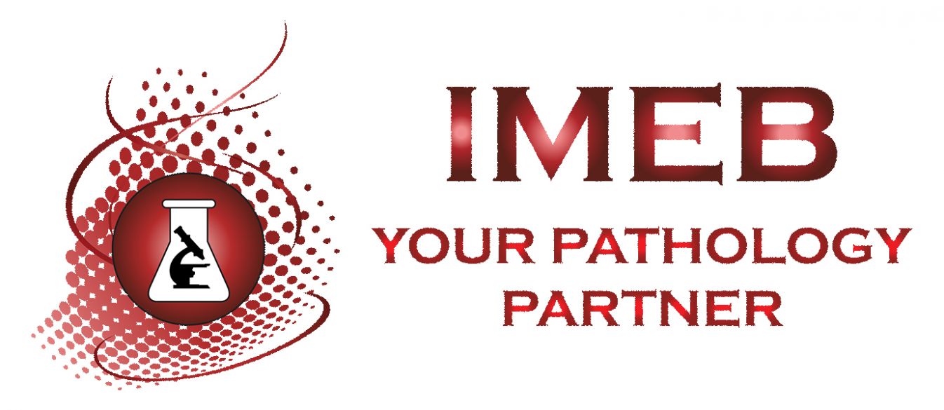 IMEB Inc. Logo