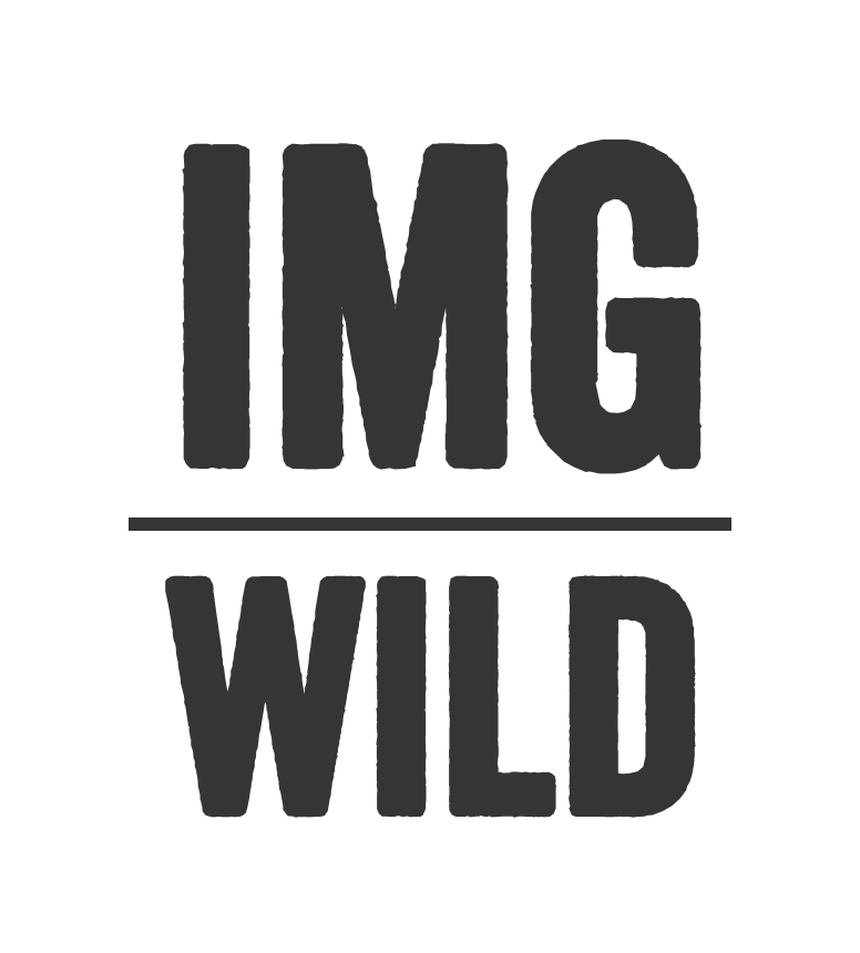 IMG Wild Logo