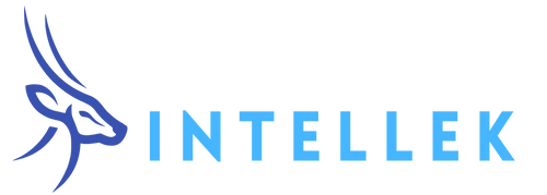 Intellek Logo