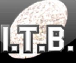 inthebleachers Logo