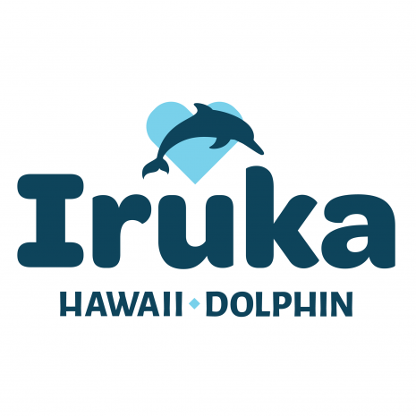 Iruka Hawaii Dolphin Logo