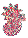 jamawar shawls Logo