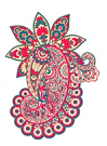 jamawarshawls Logo