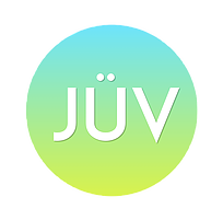 juvconsulting Logo