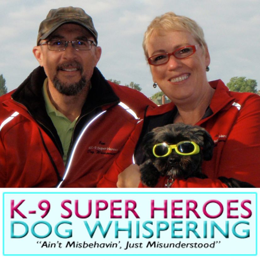 k9superheroes Logo