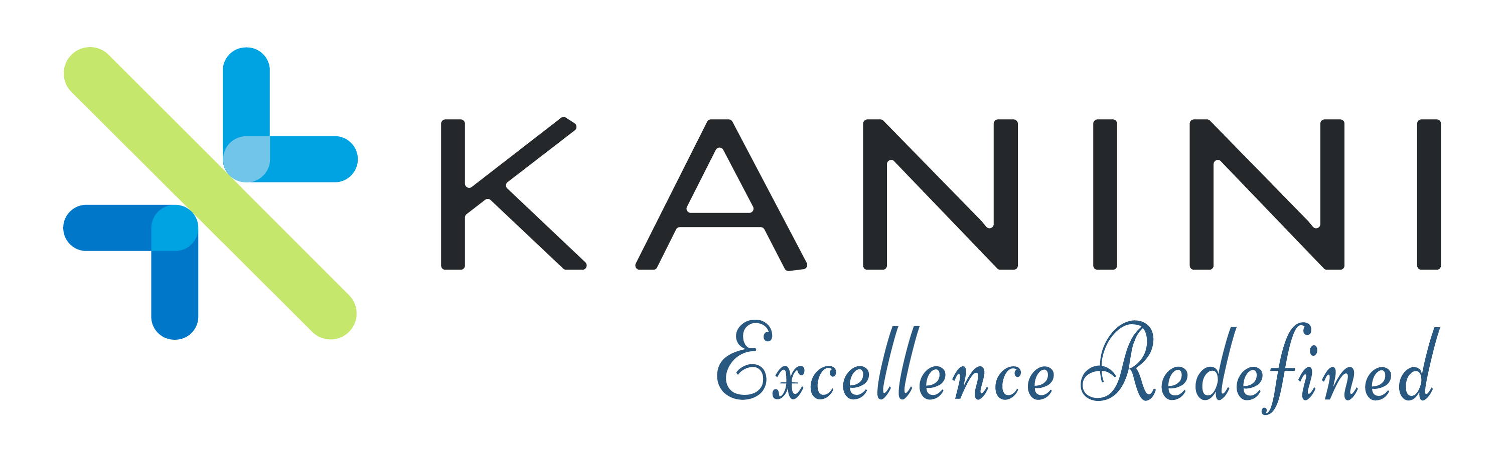 KANINI Software Solutions Logo