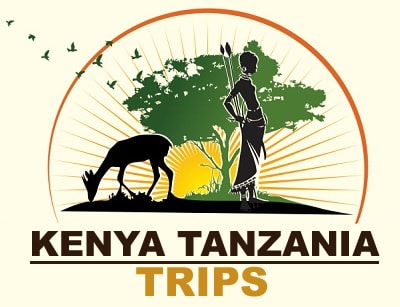 Kenya Tanzania Trips Logo