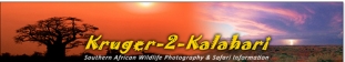 kruger-2-kalahari Logo