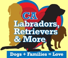 Labrador, Retrievers and More Rescue Logo