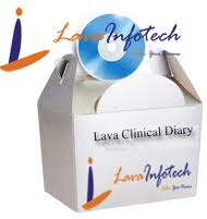 lavainfotech Logo