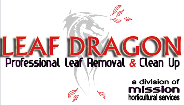 leafdragon Logo