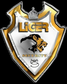 LiGER Security Corporation Logo