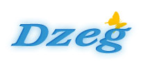 DZEG.com Logo