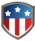 New America Power Logo