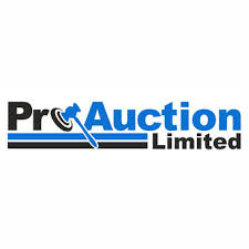 Pro Auction Logo