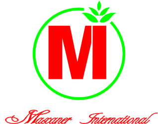 Maxaner International Logo