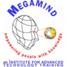 Megamind Training Institute Logo