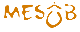 Mesob Ethiopian Restaurant Logo