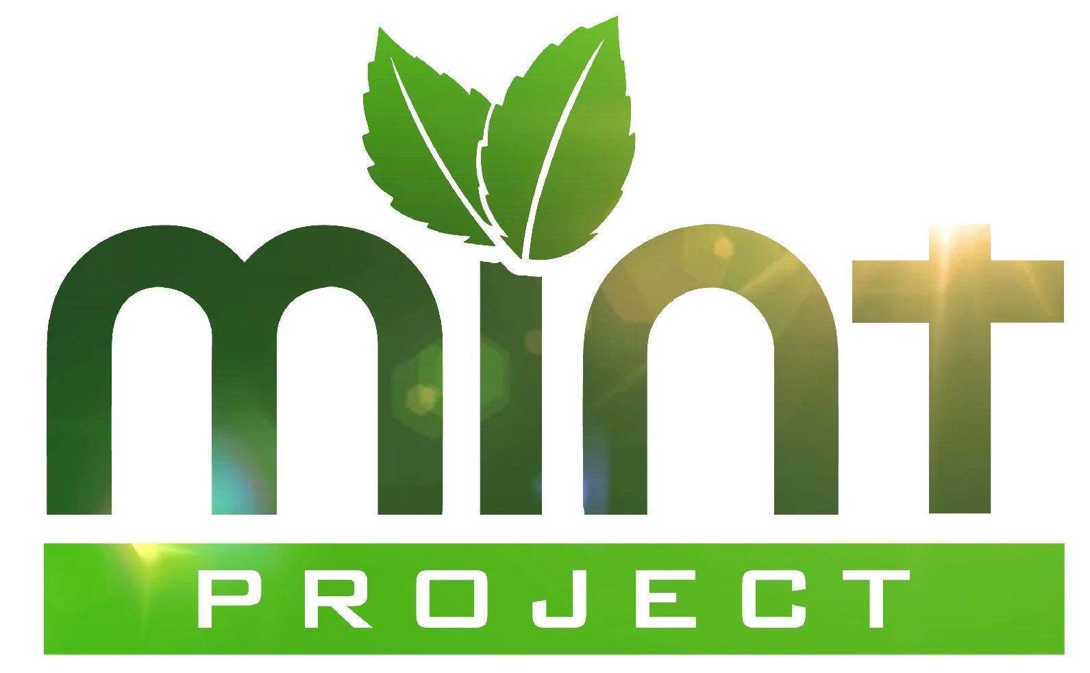 Mint Project, Inc. Logo