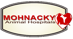 Mohnacky Animal Hospitals Logo