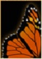 monarchdentistry Logo