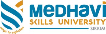 Medhavi Skill University Logo