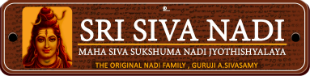 SRI AGASTHIYA MAHASIVA VAKKYA NADI JOTHIDA NILAYAM Logo