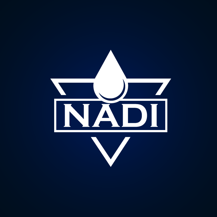 nadiservices Logo