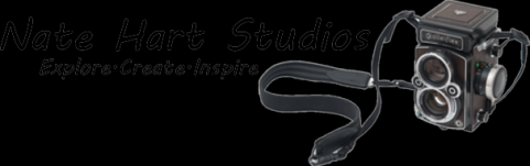 natehartstudios Logo