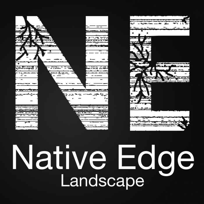 nativeedge Logo