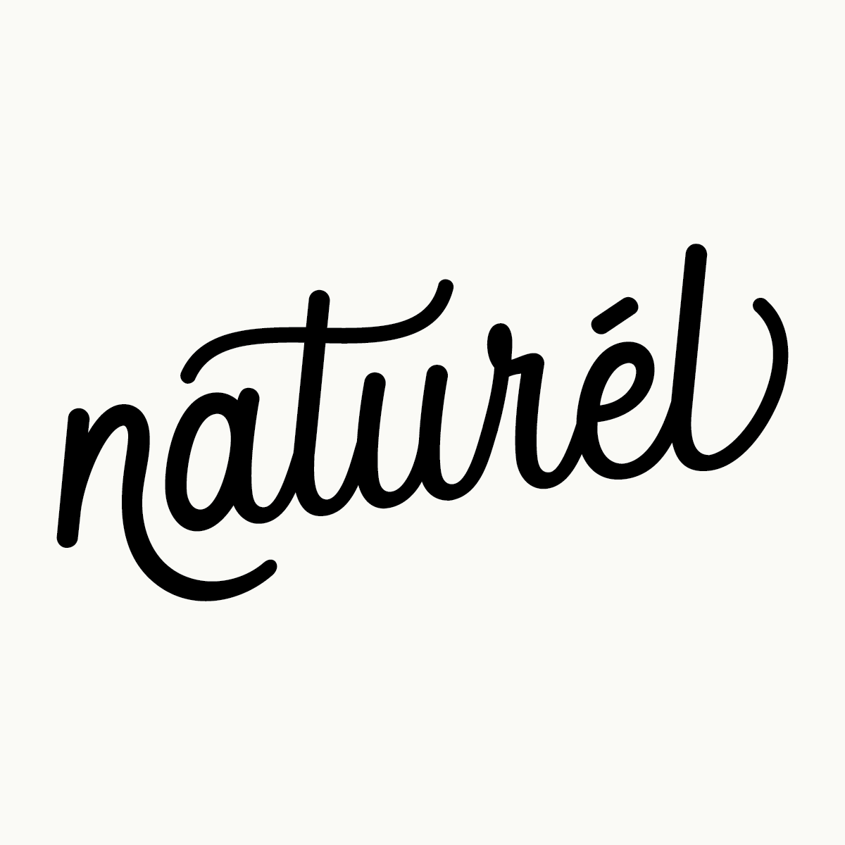 naturelearth Logo