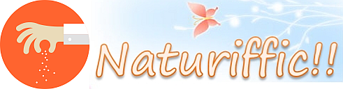 Naturiffic Logo