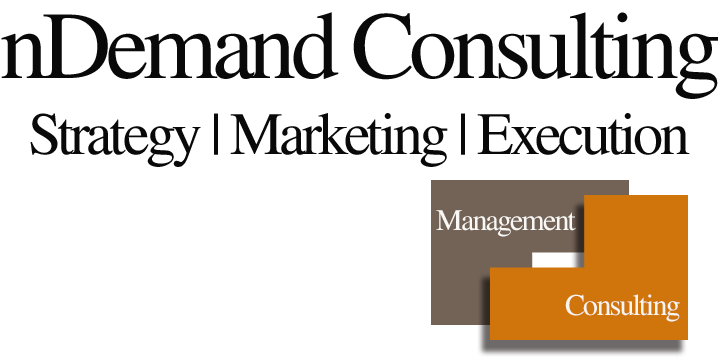 ndemandconsultingllc Logo