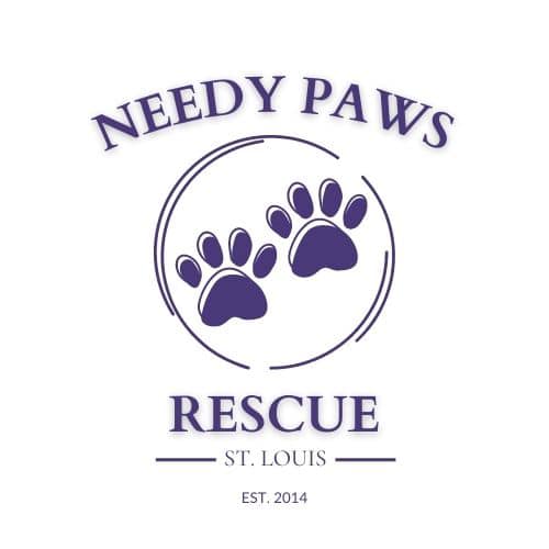 needypaws Logo