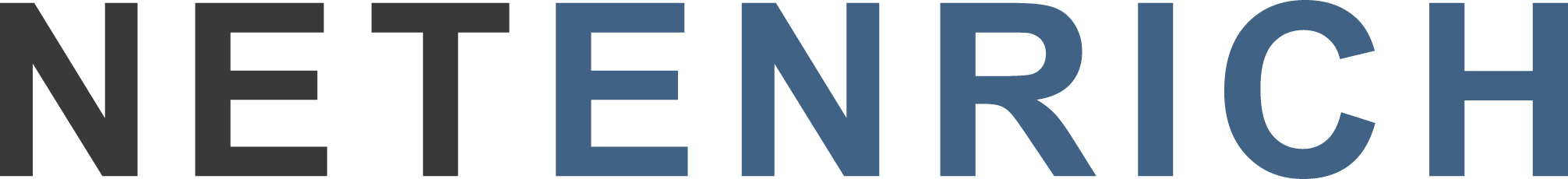 NetEnrich Inc Logo