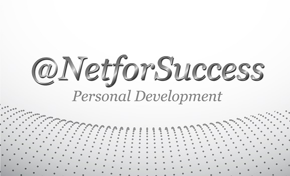 netforsuccess Logo