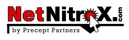 netnitrox Logo