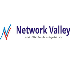 networkvalley Logo