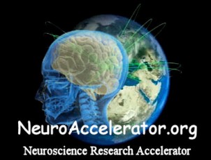 neuroaccelerator Logo