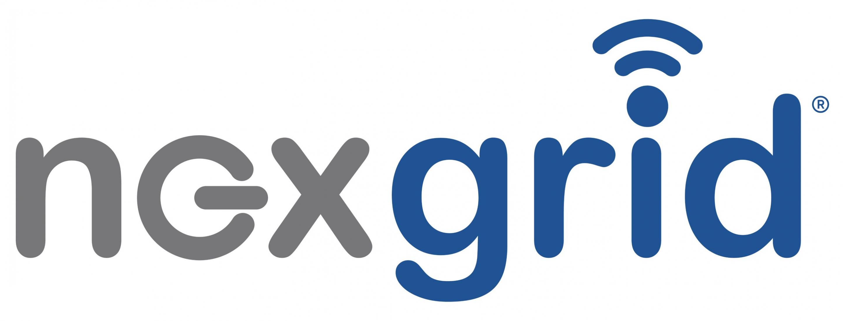 Nexgrid Logo