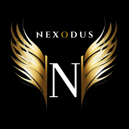 Nexodus Inc Logo