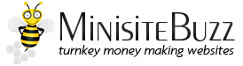 Minisite Buzz Logo