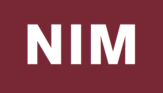 nonprofits_ins_mgmt Logo