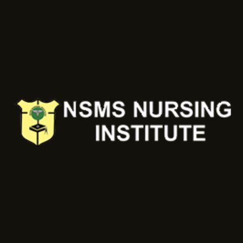 nsmsnursing Logo