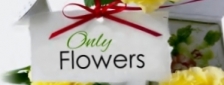 Only Flowers Logo