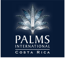 Palms International Real Estate Logo